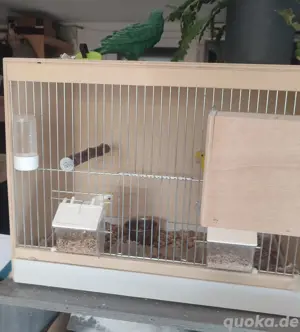 Vogelkäfig  Zuchtbox  Zuchtkäfig 