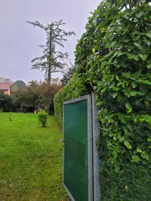 Wie bieten Dienstleistungen rund ums Haus und Garten an  Bild 5
