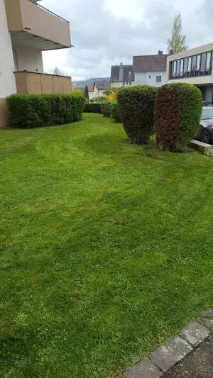 Wie bieten Dienstleistungen rund ums Haus und Garten an  Bild 10
