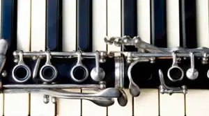 Versierte r Klezmer-Klarinettist in gesucht (w, m, 50+)