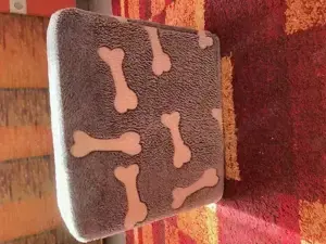 HUNDE Treppe Mit Motiv -EXTRA Tiefe & Breite Stufen- *NEU* Bild 7