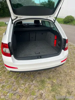 Skoda Octavia 2.0tdi Bild 3