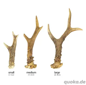 Reh Geweihe - Rehbock Abwurfstange - Deko basteln Krone Hirsch