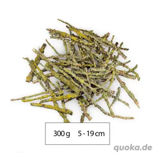 Flechten   Lichen Äste für Asseln, Tausendfüßer, Gespenstschreck Bild 2