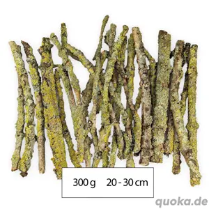 Flechten   Lichen Äste für Asseln, Tausendfüßer, Gespenstschreck Bild 5