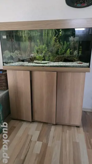 Aquarium-Kombination 180 l  mit kompletten Inhalt