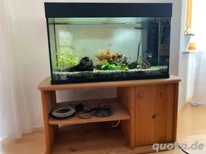 Aquarium Juwel mit komplettem Zubehör Bild 3