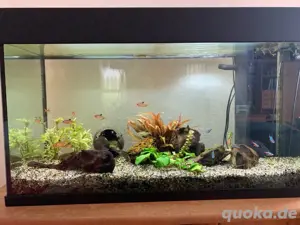 Aquarium Juwel mit komplettem Zubehör Bild 2