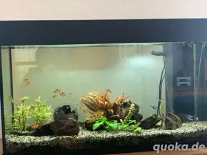 Aquarium Juwel mit komplettem Zubehör