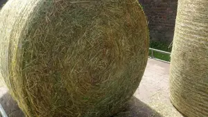 Heu Pferdeheu Heuballen Rundballen aus 2024