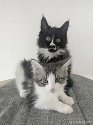 Carla und Tiana