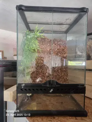 2 Exo Terrarien 30x30x45