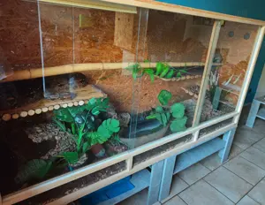 Terrarium L200xH100xT60cm 