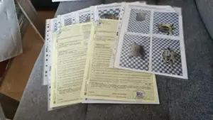 Griechische Landschildkröten