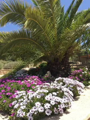 Griechenland: Villa nahe Porto Heli - Peloponess Bild 5