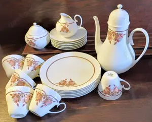 Rosenthal  Romanze Orchidee Kaffeeservice 6 Personen 21-teilig 
