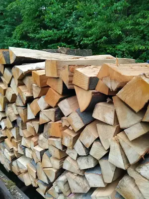 Brennholz  sommeraktion