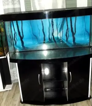 JUWEL Aquarium 350 mit Unterschrank