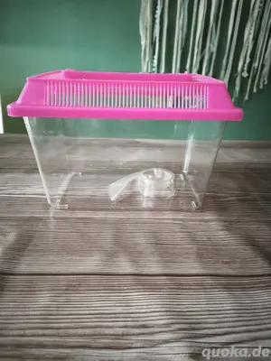 Faunarium   Aufzuchtbox  (2x vorhanden)