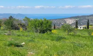 Grosses Grundstück auf Zypern EU Bild 2