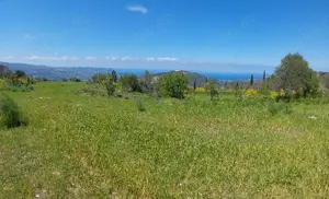 Grosses Grundstück auf Zypern EU Bild 3