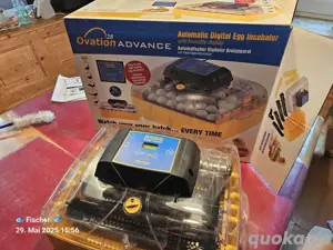 Inkubator Brinsea Ovation 28 Advance  Bild 1