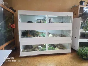 3 Terrarien aus Kunststoff von BOA Tempel 