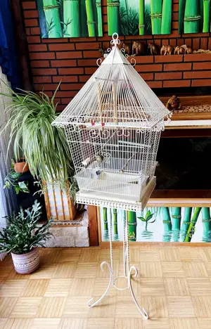 Vogelkäfig, Nostalgie Käfig, Haus für Kanarien & andere kleine Exoten
