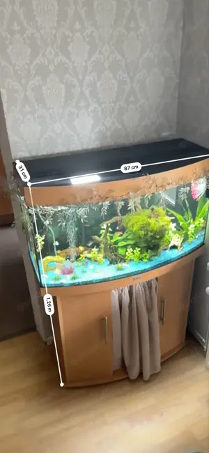 Panoramaaquarium Bild 2