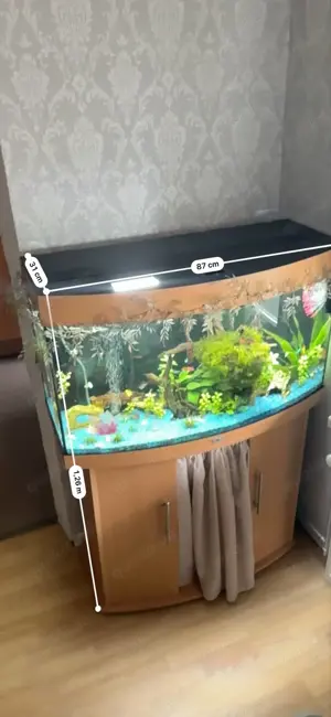 Panoramaaquarium Bild 3