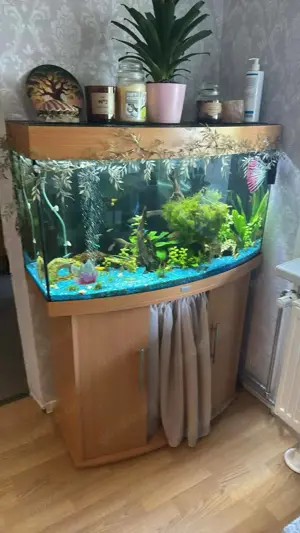 Panoramaaquarium Bild 5