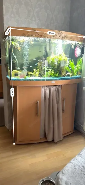 Panoramaaquarium