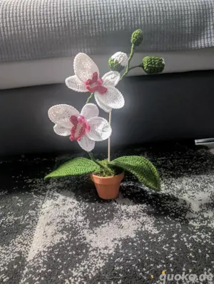 Orchidee in Topf Geschenk für Geburtstag Blume Dekor Handarbeit NEU Gehäkel