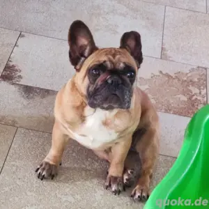 Püppi und Medi suchen Rentnerplatz  Bild 2