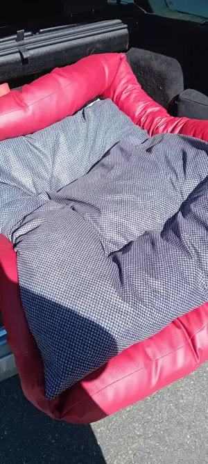 großes hundebett