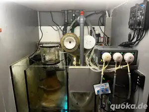 Meerwasser Aquarium 