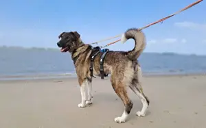 Bria möchte endlich ankommen			