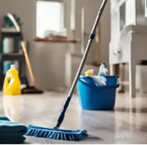 Putzfee sucht hausarbeit nur in Nürnberg 