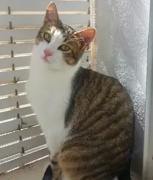 Diego (und Geschwister) ALO