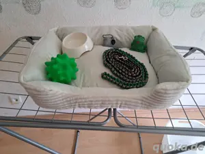 Hundezubehör 