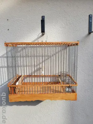 Kleiner Vogel Käfig 
