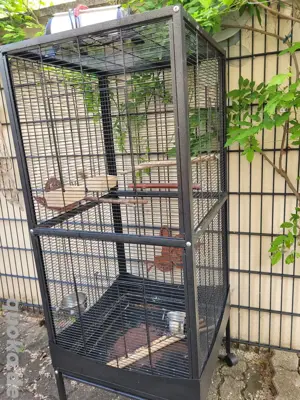 Großer Vogel Käfig 