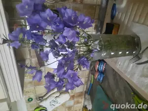 Blumensträuße mache ich aus unserm Garten für Sie Verkauf ohne Vase 5 euro pro Blumen Strauss 