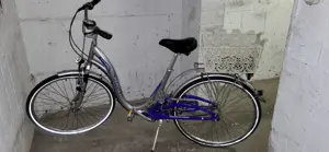 Damen Fahrrad