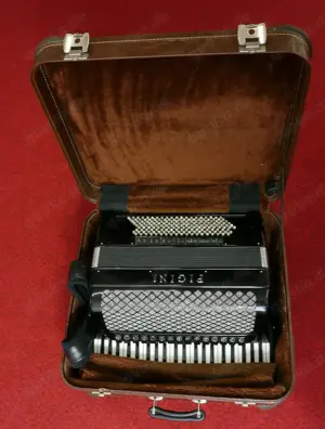 Akkordeon , Pigini, 120 Bass & M III, Cassotto Bild 4