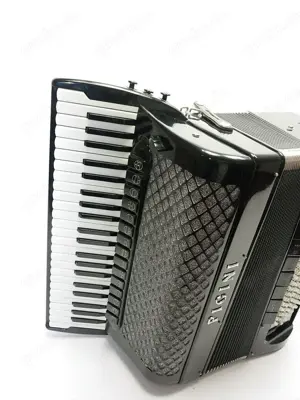 Akkordeon , Pigini, 120 Bass & M III, Cassotto Bild 5