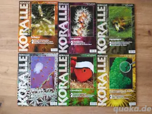 Koralle Meerwasseraquaristik-Zeitschrift Jahrgang 21 komplett 121-126
