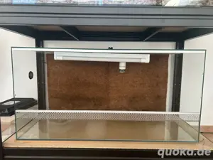 Verkaufe Glas-Terrarium (100 x 50 x 50 cm) mit Zubehör