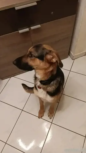 neues zuhause gesucht 