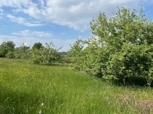 Traumhafte Streuobstwiese in Pforzheim OT Würm, 3.720 m 
